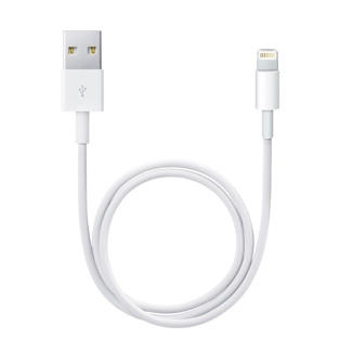 Apple Lightning to USB cable 0.5 m