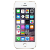 Apple iPhone 5s Gold 4&quot; 32GB 4G Unlocked &amp; SIM Free