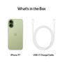 Apple iPhone 17 Sage 6.3" 256GB 5G Unlocked & SIM Free Smartphone