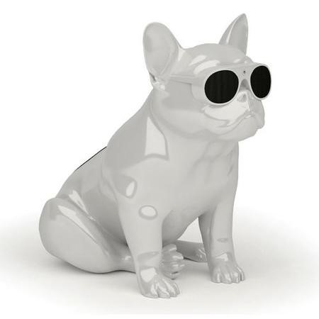 jarre aerobull speaker