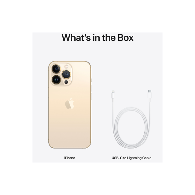 Apple iPhone 13 Pro Max Gold 6.7