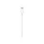 Apple USB-C to Lightning Cable - Lightning cable - USB-C M to Lightning M - 1 m