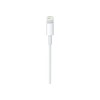 Apple USB-C to Lightning Cable - Lightning cable - USB-C M to Lightning M - 1 m