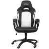Nitro Concepts C80 Pure Series Gaming Chair - Black/White