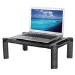 Newstar Monitor Riser