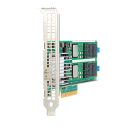 HPE NS204i-p NVMe PCIe3 OS Boot Device HPE NS204i-p NVMe PCIe3 OS Boot Device