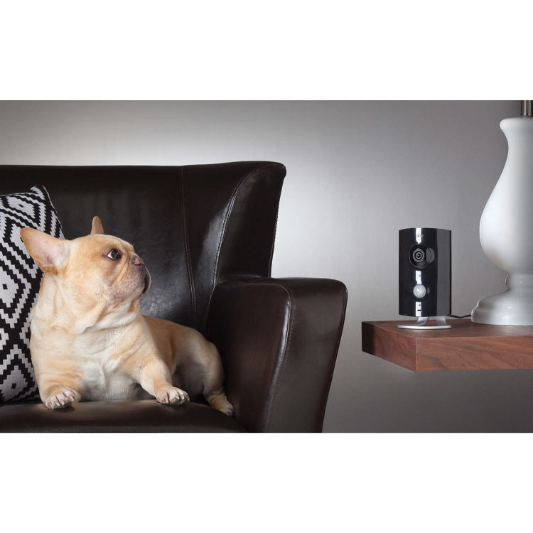 Piper Night Vision Security Camera in Black