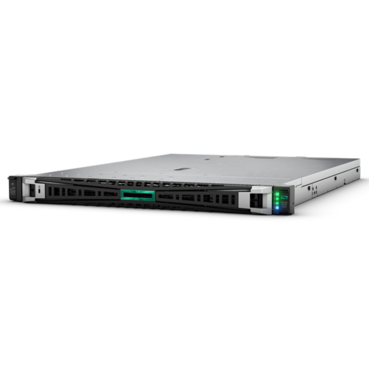 HPE ProLiant DL320 Gen11 4510 Intel Xeon Silver 2.2GHz 64GB RAM 2x 480GB Rack Server