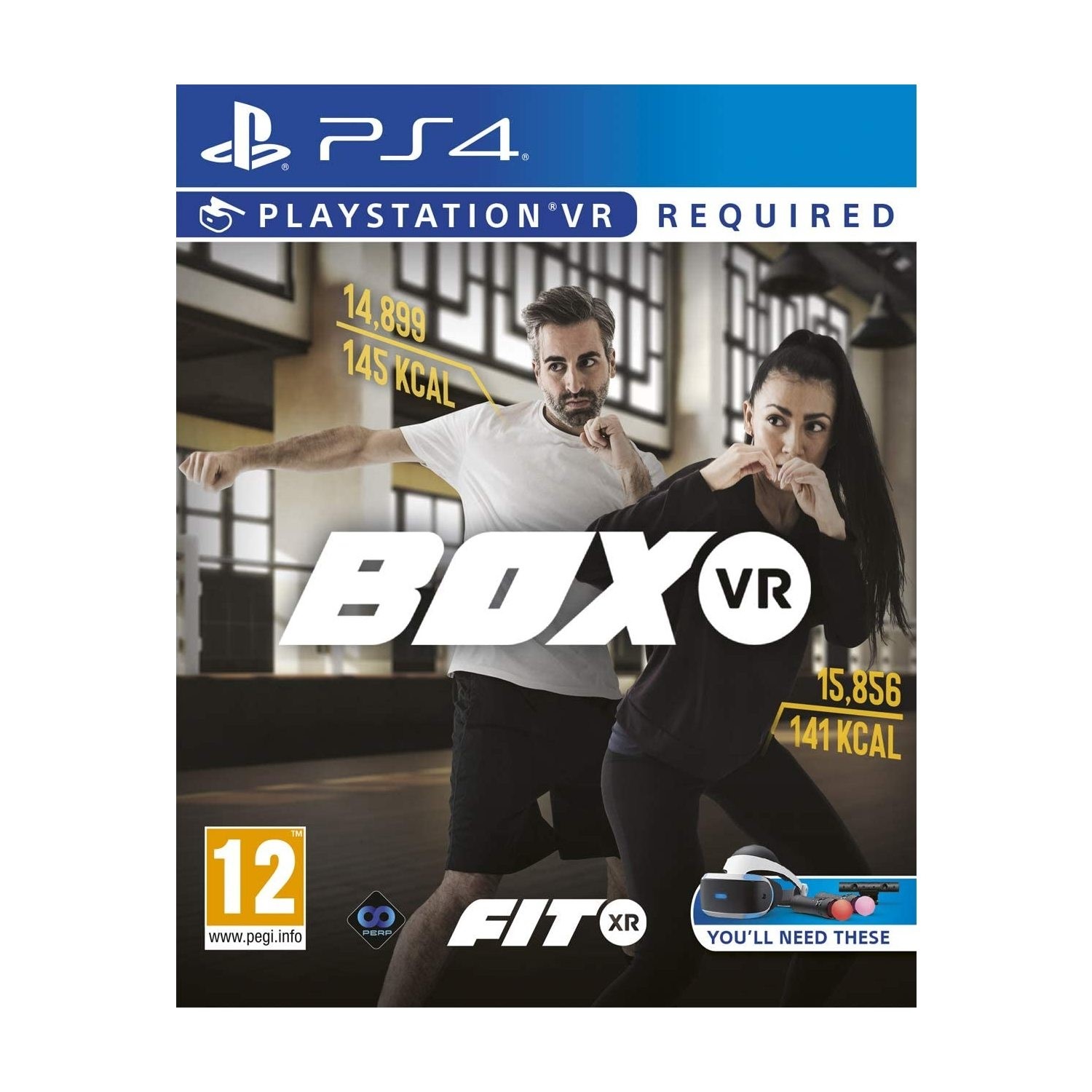 BOX VR Boxing Workout Video Game for PS4 VR Laptops Direct
