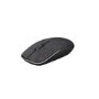 Rapoo 3510 Plus 2.4GHz Wireless Optical Fabric Mouse Black