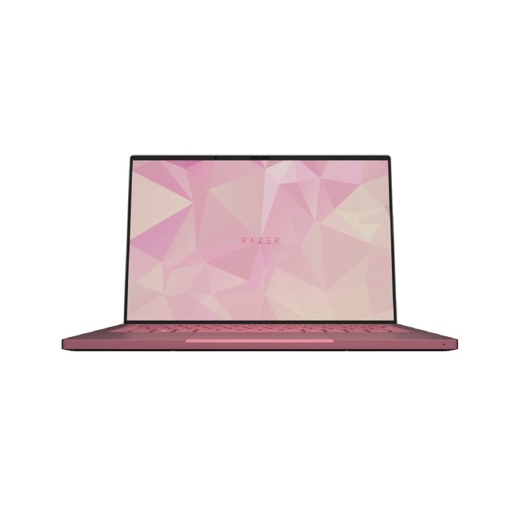 Razer Book 13 EVO Intel Core i5 8GB 256GB Iris Xe 60Hz FHD 13.4 Inch Windows 11 Home Laptop 