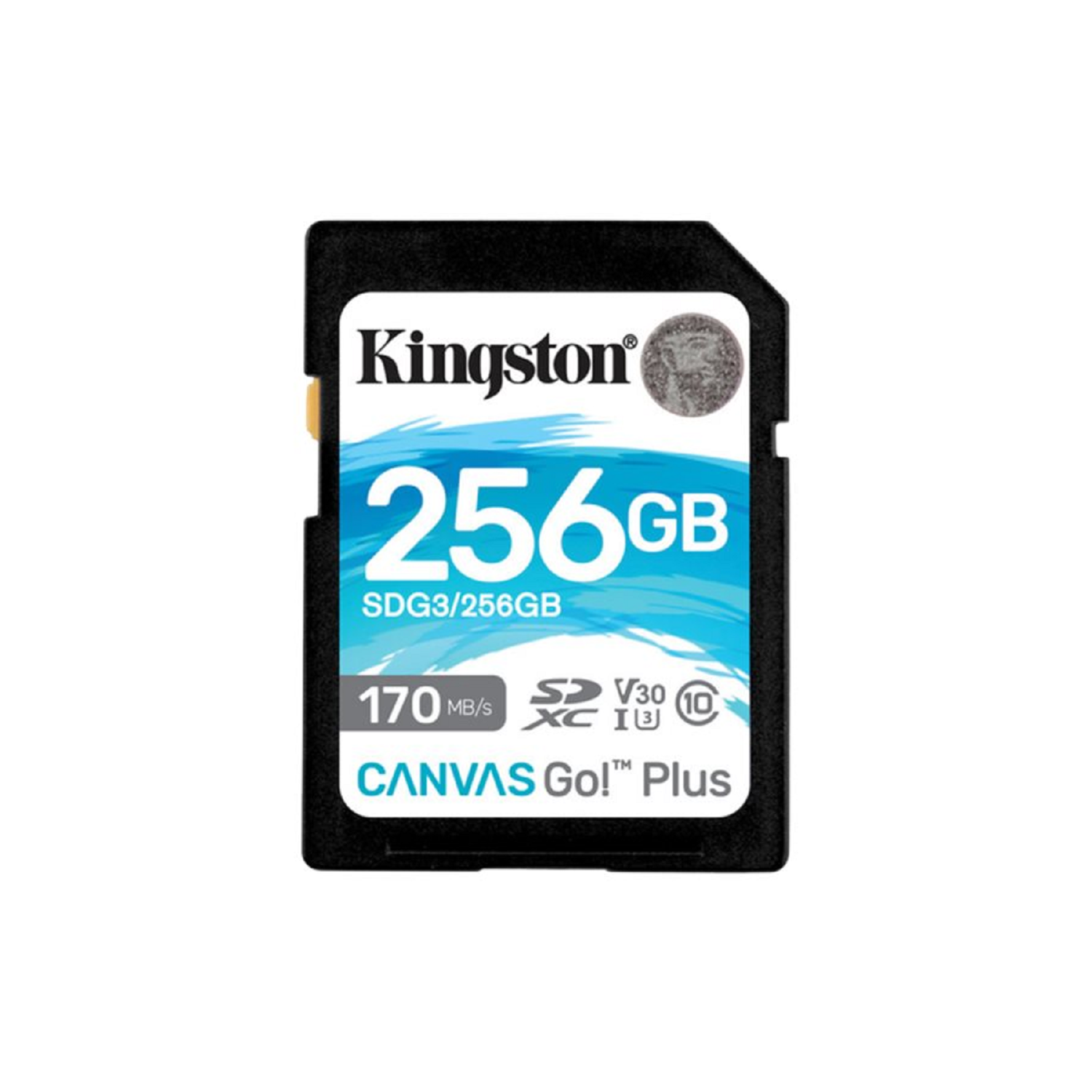 Kingston Canvas Go! Plus 256GB UHS-I U3 SD Card