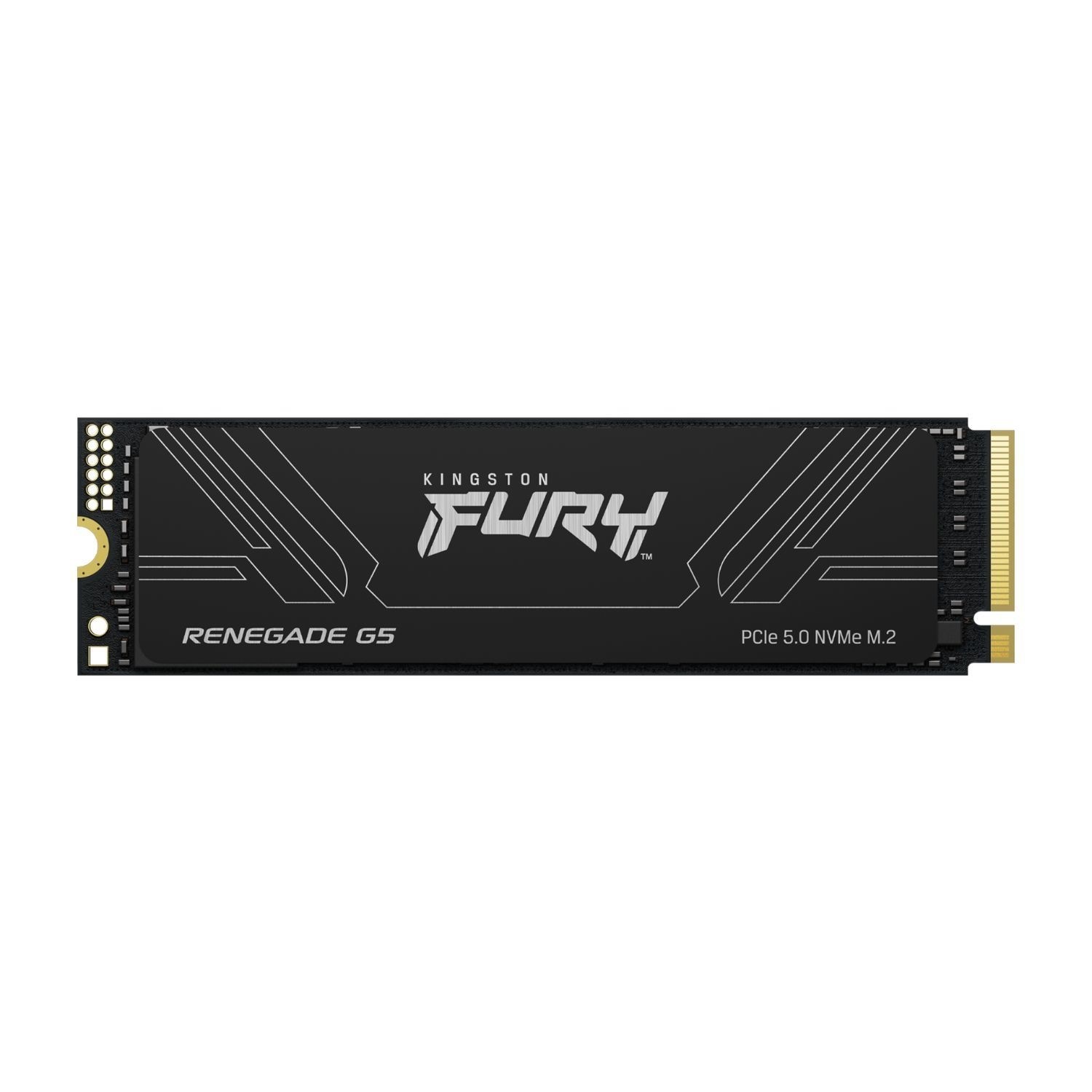 Technology 1T FURY RENEGADE G5 M.2 2280 NVMe SSD