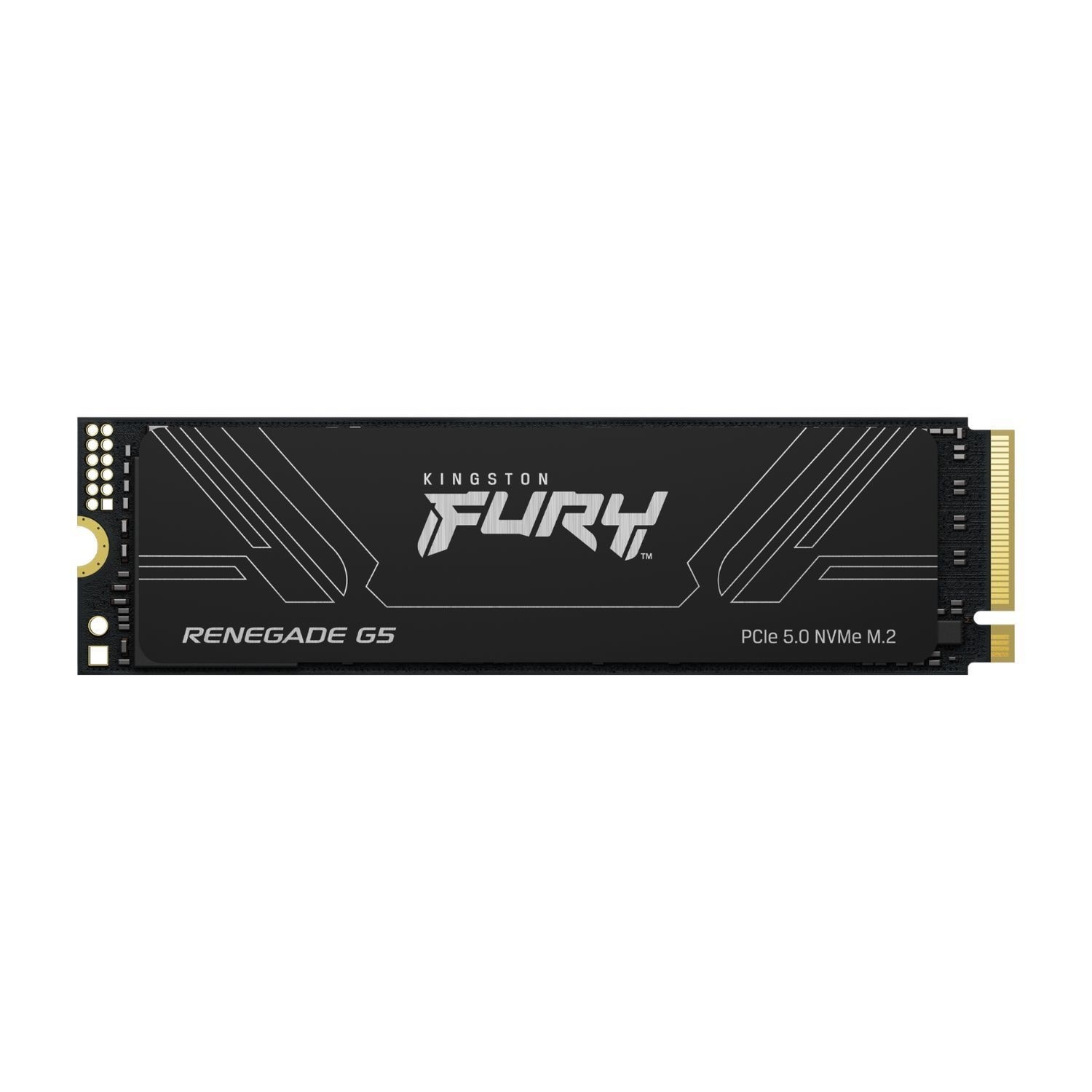Technology 2T FURY RENEGADE G5 M.2 2280 NVMe SSD