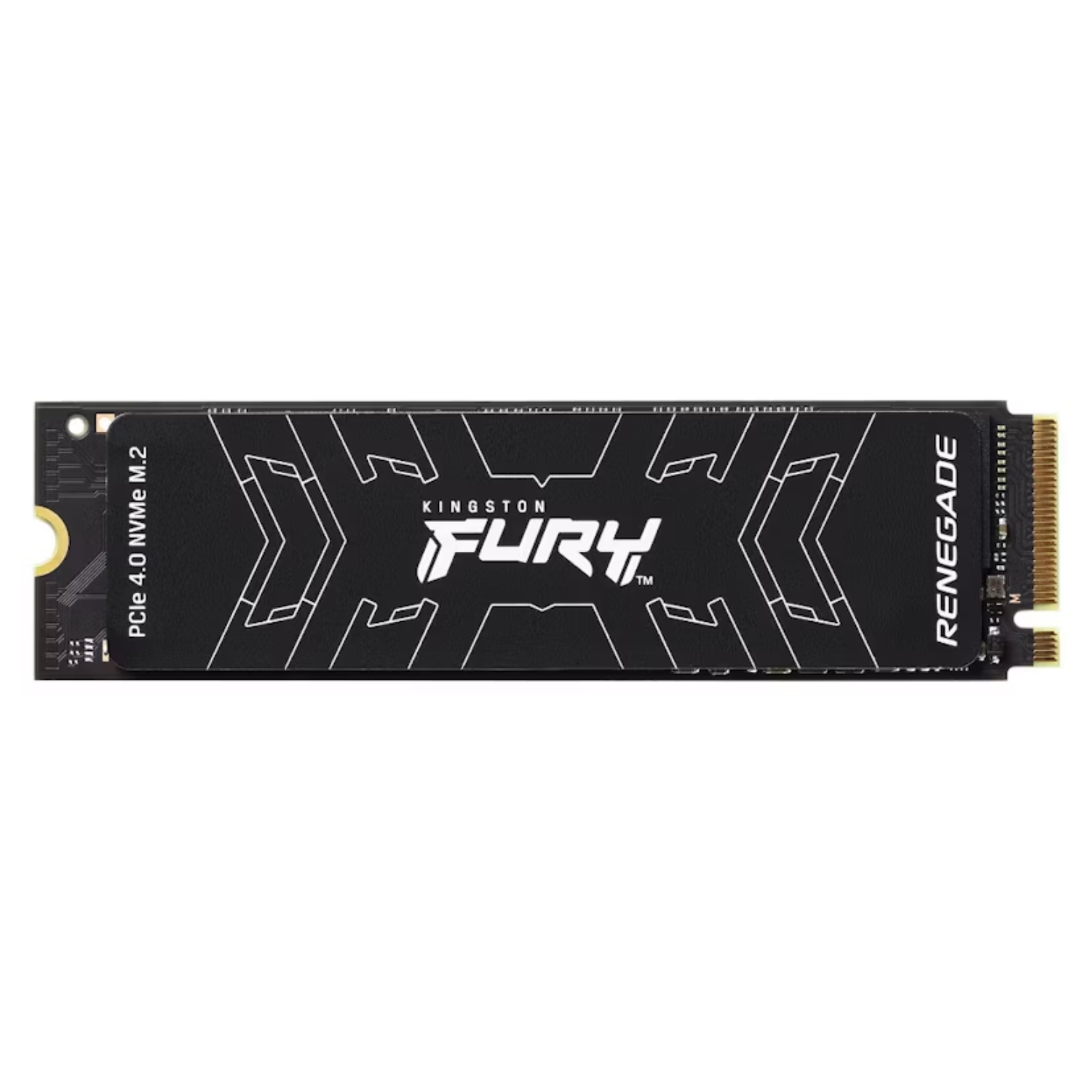 Kingston Fury Renegade 1TB M.2 2280 Internal SSD