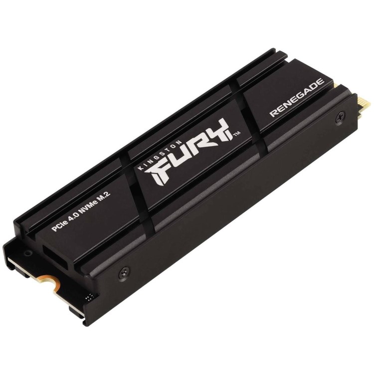 Kingston Fury Renegade 500GB  M.2 2280 Internal SSD