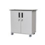 TekCharge Dual Door 30 Tablets up to 13" Charging Trolley