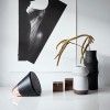 Aether Cone Wifi and Bluetooth HiFi Speaker - Black and Copper  LAST FEW REMAINING