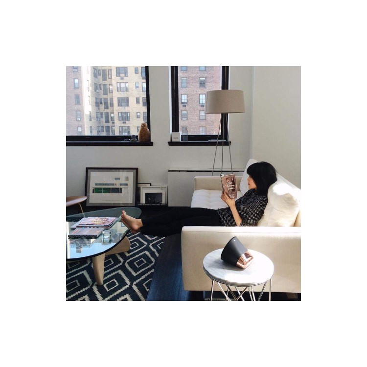 Aether Cone Wifi and Bluetooth HiFi Speaker - Black and Copper  LAST FEW REMAINING