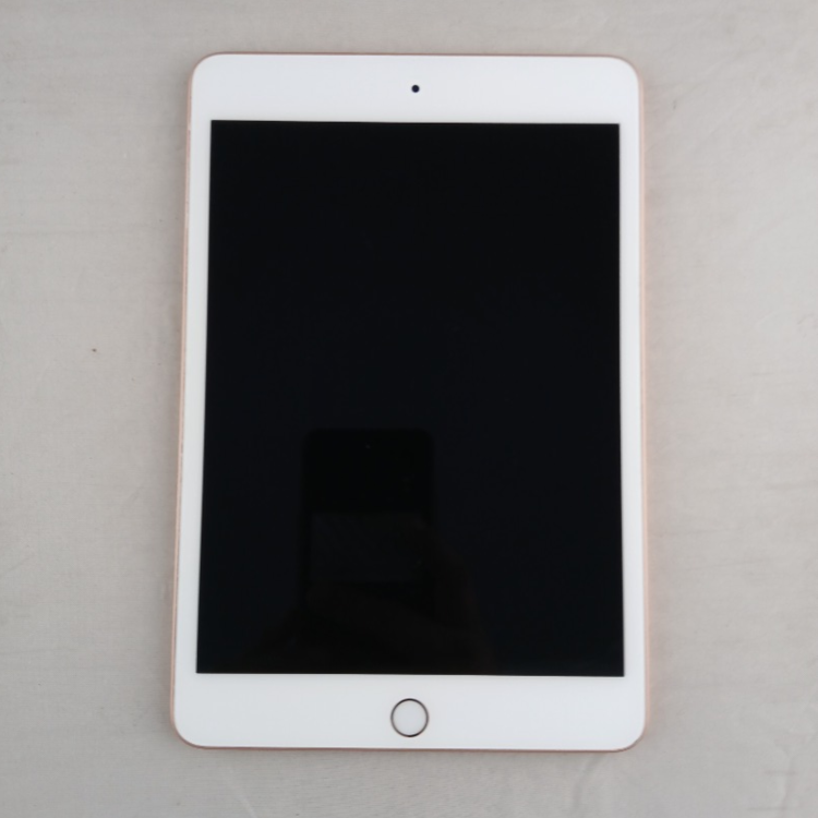 Refurbished Apple iPad Mini 5th gen 7.9" Gold 64GB Wi-Fi Tablet