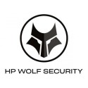 U05LCAAE HP Care Pack 3 Year 1-99 E-LTU Wolf Pro Security