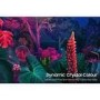 Samsung BU8000 55 Inch 4K HDR Smart TV