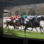 Acer KA272 P6 27" IPS Full HD 144Hz Monitor
