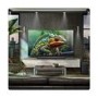 LG 3.1.1ch Dolby Atmos Soundbar Speaker - Black
