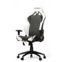 Vertagear Racing Series S-LINE SL2000 Gaming Chair Black & White