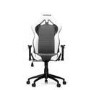 Vertagear Racing Series S-LINE SL2000 Gaming Chair Black & White