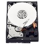 WD Blue 2TB Desktop 3.5" Hard Drive