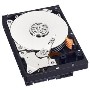 WD Blue 500GB Desktop 3.5" Hard Drive