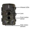 electriQ Outback 12 Megapixel HD Wildlife and Nature Camera with Night Vision &amp; 8GB SD Card