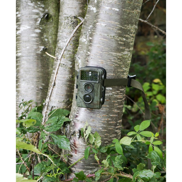 electriQ Pro Outback 8 Megapixel HD Wildlife & Nature Pet Camera with Night Vision