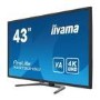 iiyama ProLite X4373UHSU 43" 4K UHD VA Monitor