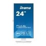 iiyama ProLite XUB2492HSU 24" IPS Full HD 100Hz Monitor