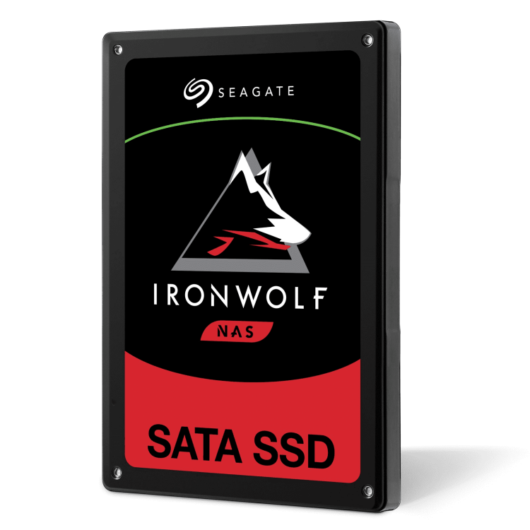 Seagate Ironwolf 110 3.8TB SSD