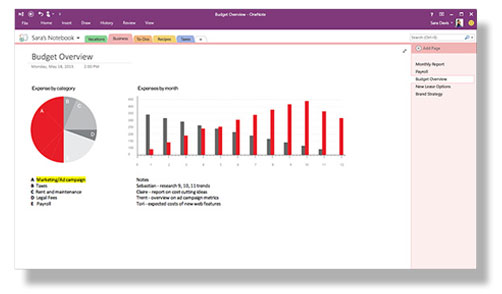 OneNote
