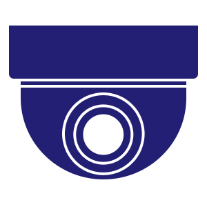 Dome Cameras
