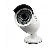 IP Cameras