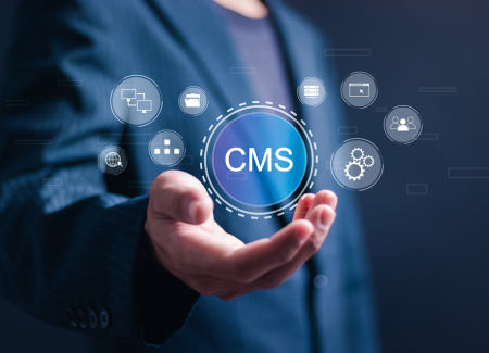 Content Management System (CMS)