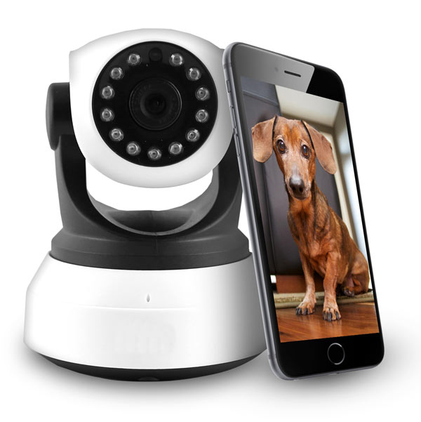 View of GRADE A1 - ElectriQ Wifi Pet Monitoring Camera with Audio - Laptops Direct