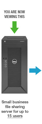 Small Business file sharing - up to 15 users