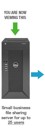 Small Business file sharing - up to 25 users