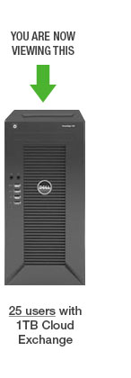25 users with 1TB cloud exchange