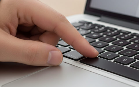 Step 1.	Hold the Option Key: 