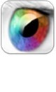 iPad Mini